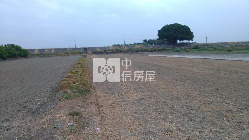 安南都計內農地投資果園房屋室內格局與周邊環境