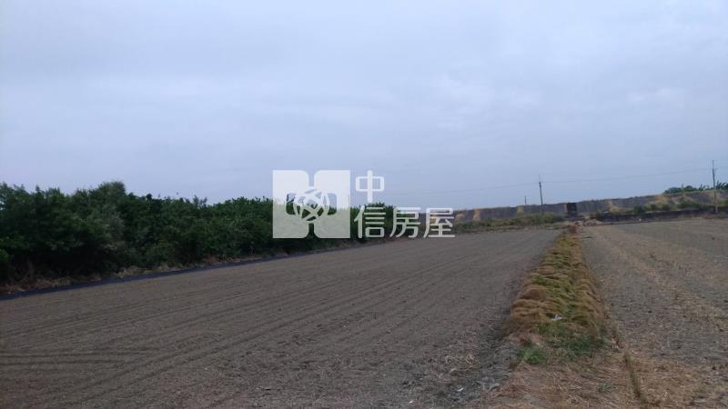 安南都計內農地投資果園房屋室內格局與周邊環境