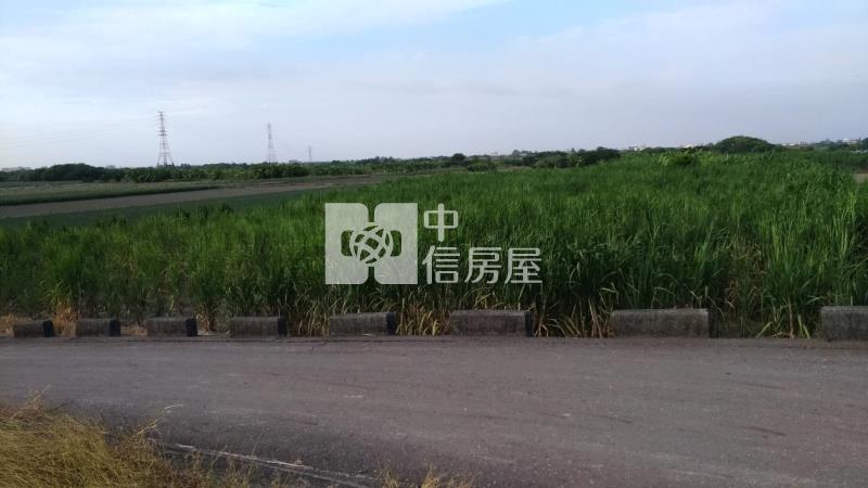 安南都計內農地投資果園房屋室內格局與周邊環境