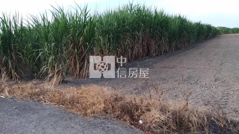安南都計內農地投資果園房屋室內格局與周邊環境