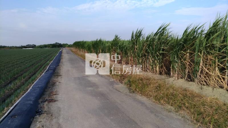 安南都計內農地投資果園房屋室內格局與周邊環境