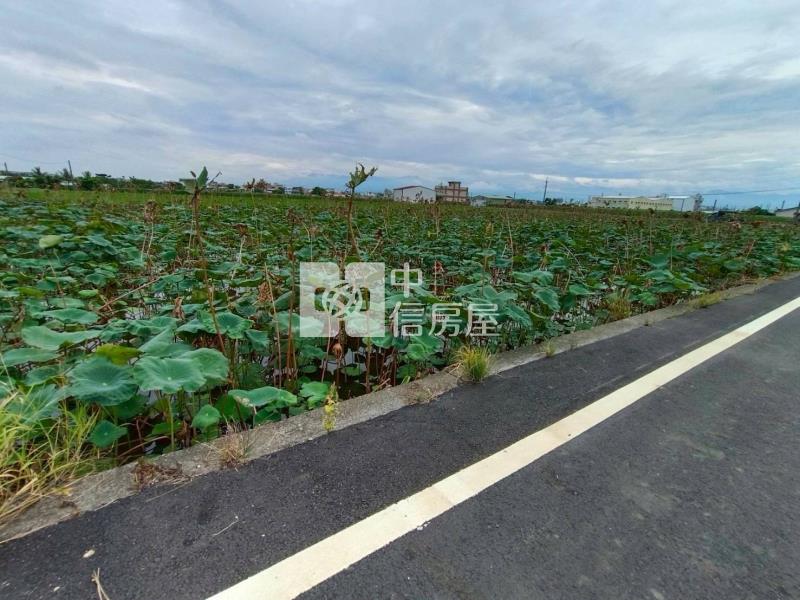 民雄都計小筆農地房屋室內格局與周邊環境