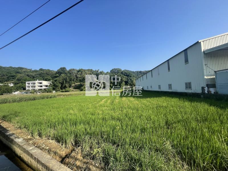 龜山大坑都內農地房屋室內格局與周邊環境