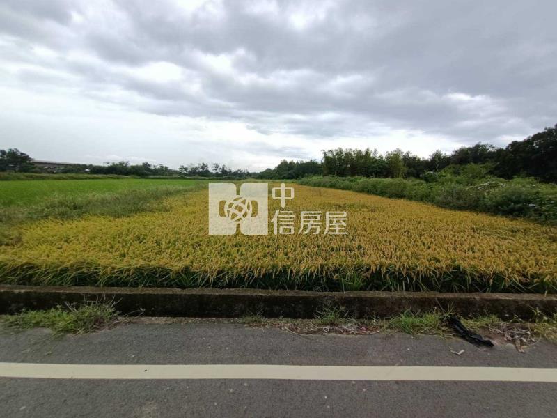 龜山大坑都內農地房屋室內格局與周邊環境