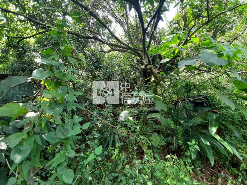 大樹龍目國小旁農地房屋室內格局與周邊環境