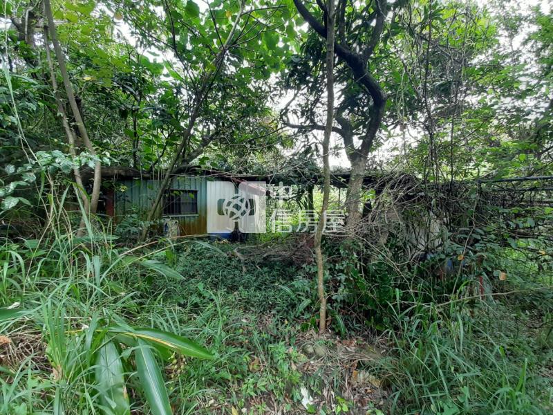 大樹龍目國小旁農地房屋室內格局與周邊環境