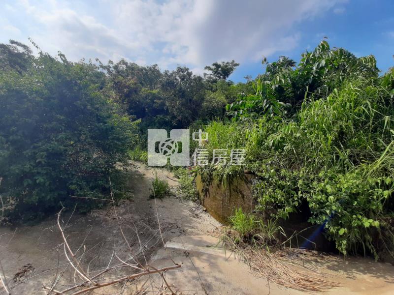 大樹龍目國小旁農地房屋室內格局與周邊環境