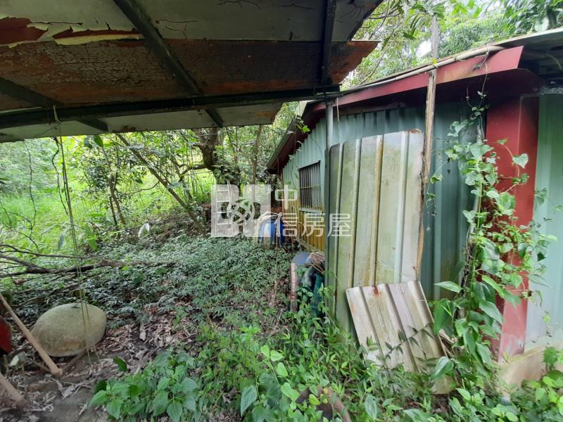大樹龍目國小旁農地房屋室內格局與周邊環境