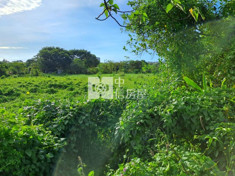近大享別莊方正美農地房屋室內格局與周邊環境