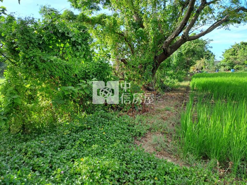 近大享別莊方正美農地房屋室內格局與周邊環境