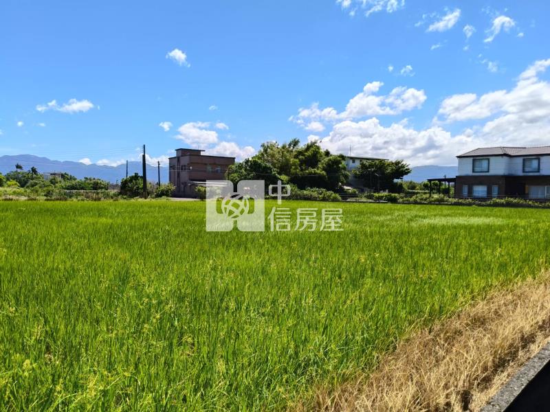 D223宜蘭冬山柯林足坪農地房屋室內格局與周邊環境