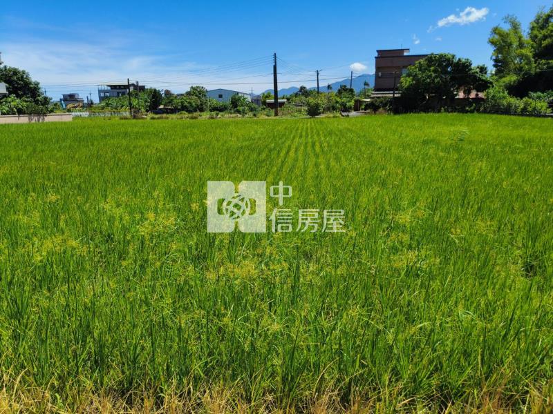 D223宜蘭冬山柯林足坪農地房屋室內格局與周邊環境