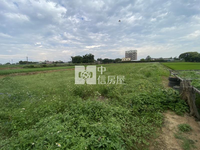 【安家】 近青埔草漯雙面臨路美農地房屋室內格局與周邊環境