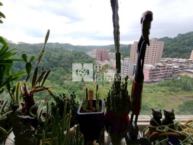 ●幸福華城前區美屋房屋室內格局與周邊環境