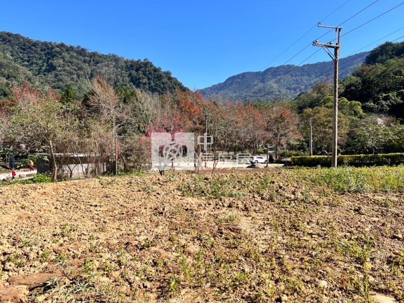 近內灣老街平坦休閒農地房屋室內格局與周邊環境