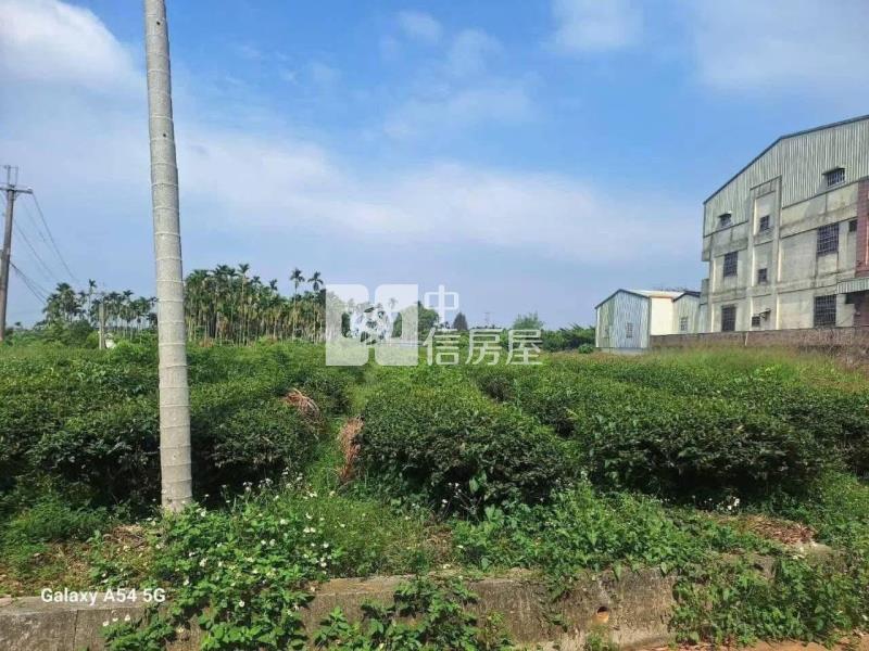微熱山丘平坦農地房屋室內格局與周邊環境