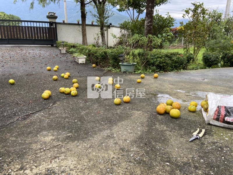 花蓮鳳林農舍房屋室內格局與周邊環境