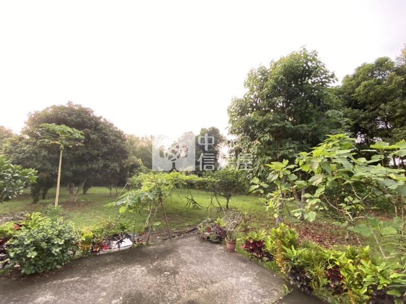 花蓮鳳林農舍房屋室內格局與周邊環境