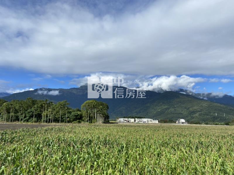 花蓮鳳林農舍房屋室內格局與周邊環境