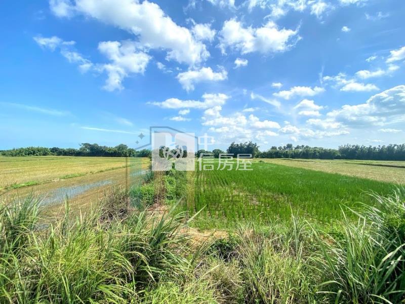 【豐禾】湖口低總價農保田A房屋室內格局與周邊環境