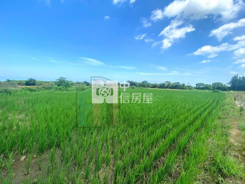 【豐禾】湖口低總價農保田A房屋室內格局與周邊環境