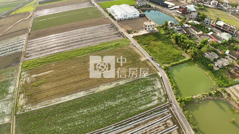 布袋農舍用地 ★影音空拍只在中信嘉義玉山店房屋室內格局與周邊環境