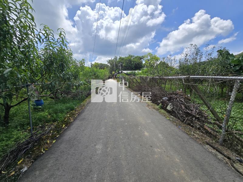 新社東興國小旁大面寬農地房屋室內格局與周邊環境
