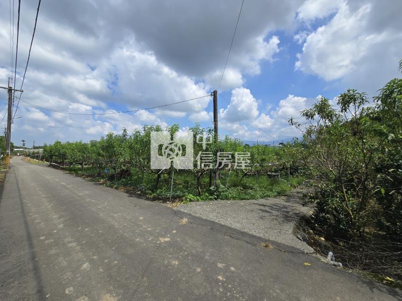 新社東興國小旁大面寬農地房屋室內格局與周邊環境