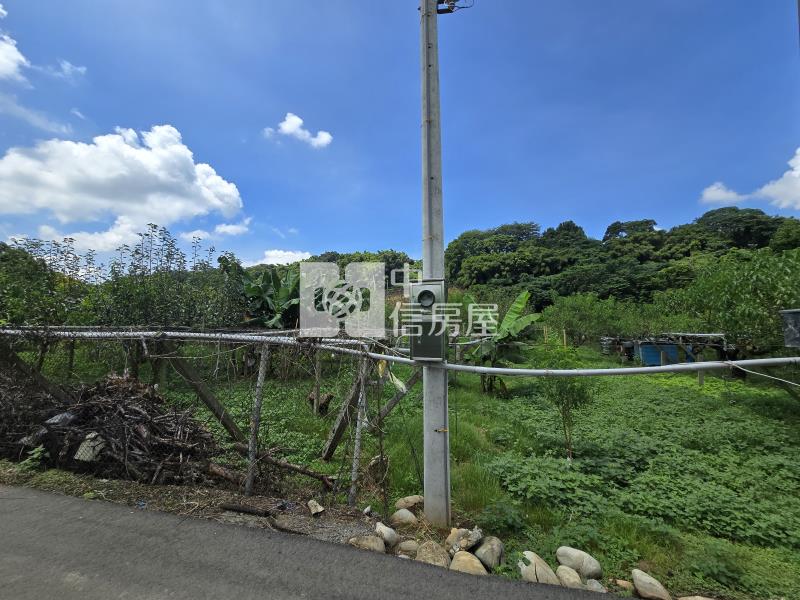 新社東興國小旁大面寬農地房屋室內格局與周邊環境