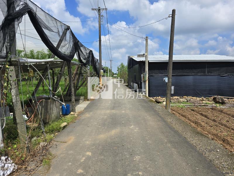 新社東興國小旁大面寬農地房屋室內格局與周邊環境