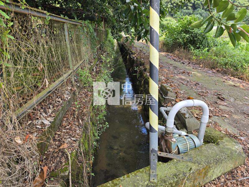 新社東興國小旁大面寬農地房屋室內格局與周邊環境