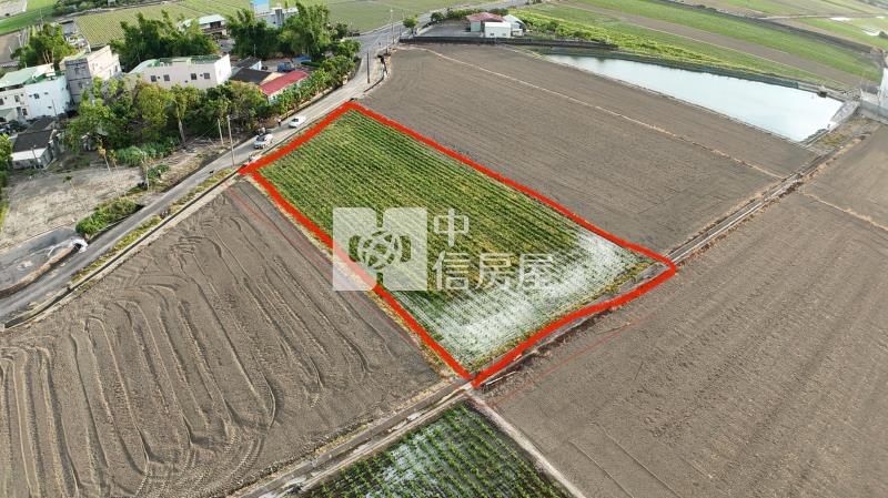 朴子休閒農地  ★影音空拍只在中信嘉義玉山店房屋室內格局與周邊環境