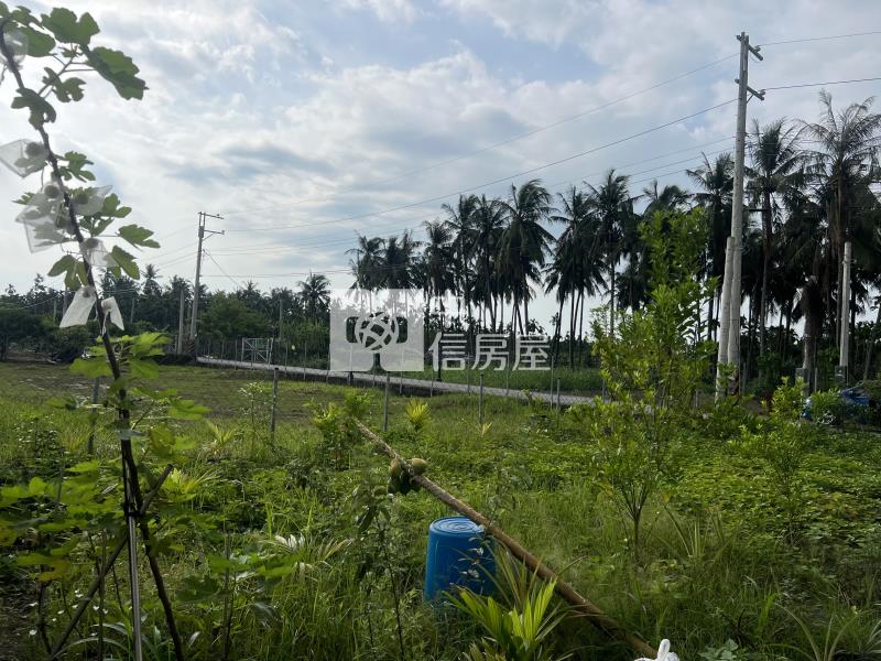屏東農舍 長治都農(農舍)房屋室內格局與周邊環境