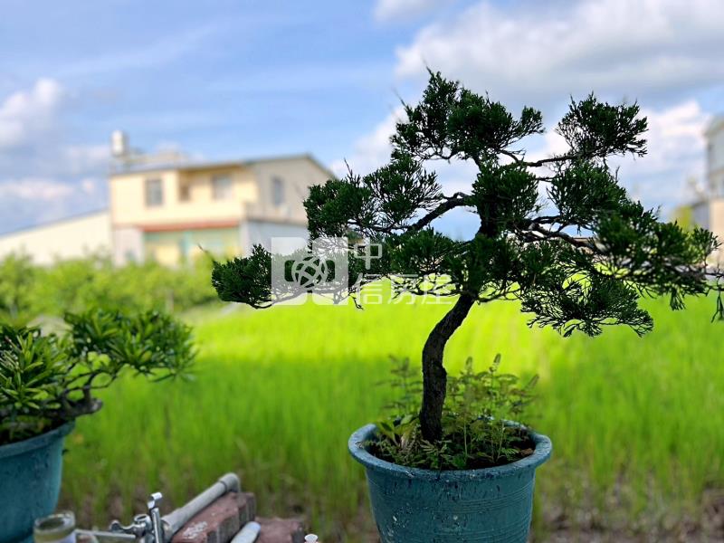 高雄土地 美濃-休閒、養殖都方便房屋室內格局與周邊環境