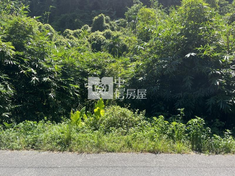 ●七堵區友蚋土地房屋室內格局與周邊環境
