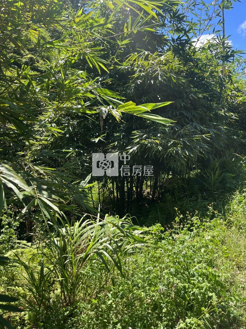 ●七堵區友蚋土地房屋室內格局與周邊環境