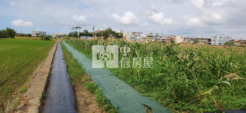 湖口市區旁優品合法置材室〜B房屋室內格局與周邊環境