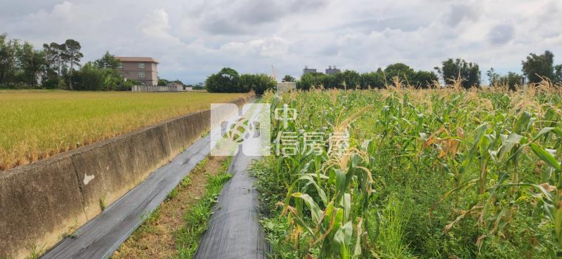 湖口市區旁優品合法置材室〜B房屋室內格局與周邊環境