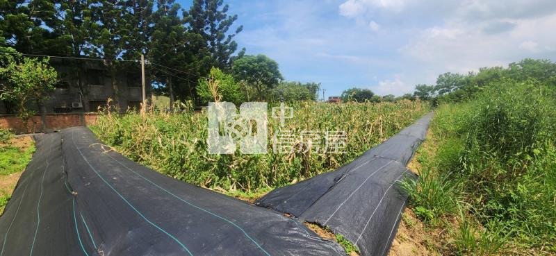 湖口市區旁優品角地合法置材室〜C房屋室內格局與周邊環境