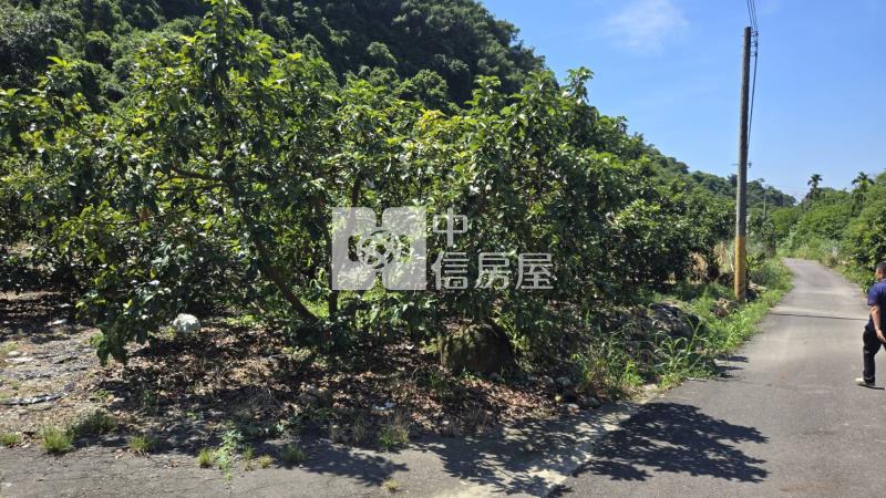 【專約】隘寮國小權利林業用地房屋室內格局與周邊環境