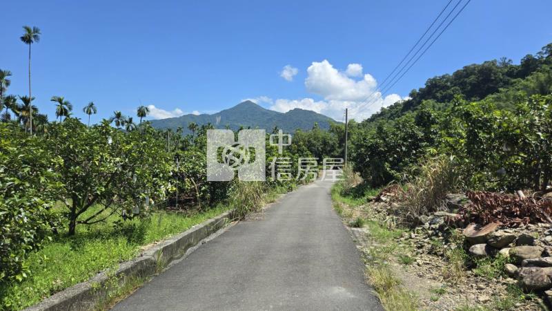 【專約】隘寮國小權利林業用地房屋室內格局與周邊環境