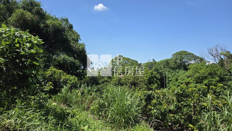 【專約】隘寮國小權利林業用地房屋室內格局與周邊環境
