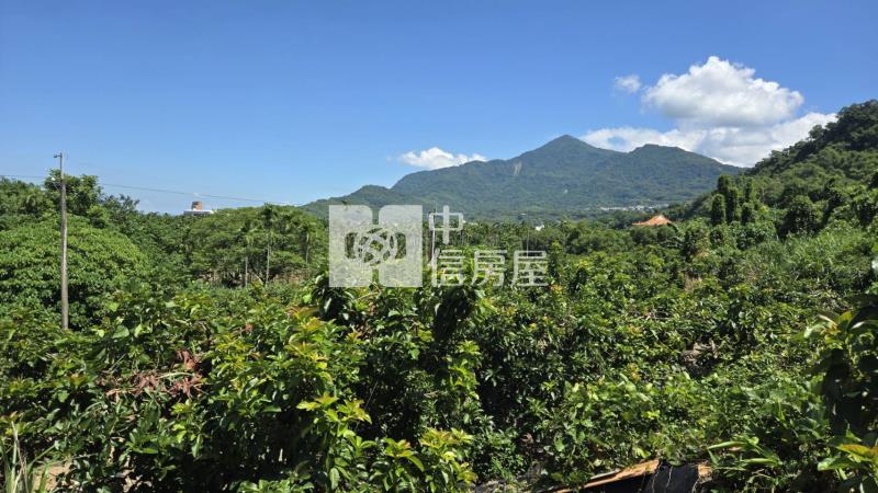【專約】隘寮國小權利林業用地房屋室內格局與周邊環境
