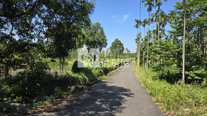 【專約】隘寮國小權利林業用地房屋室內格局與周邊環境