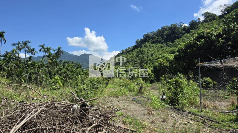 【專約】隘寮國小權利林業用地房屋室內格局與周邊環境
