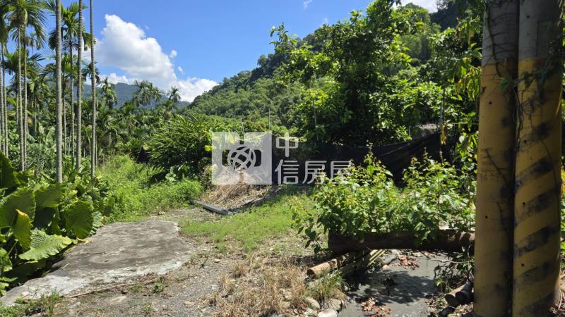 【專約】隘寮國小權利林業用地房屋室內格局與周邊環境