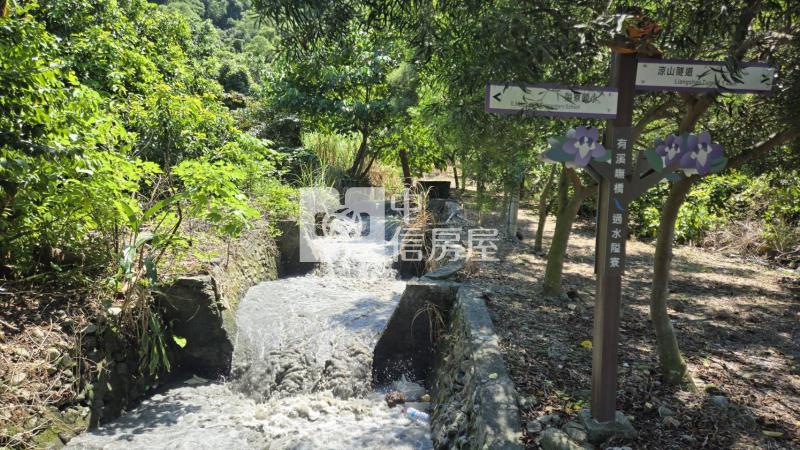 【專約】隘寮國小權利林業用地房屋室內格局與周邊環境