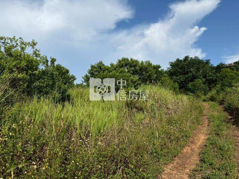 台中港特定計劃用地房屋室內格局與周邊環境