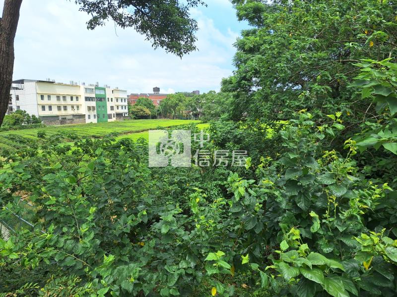龍潭交流道毛胚農舍房屋室內格局與周邊環境