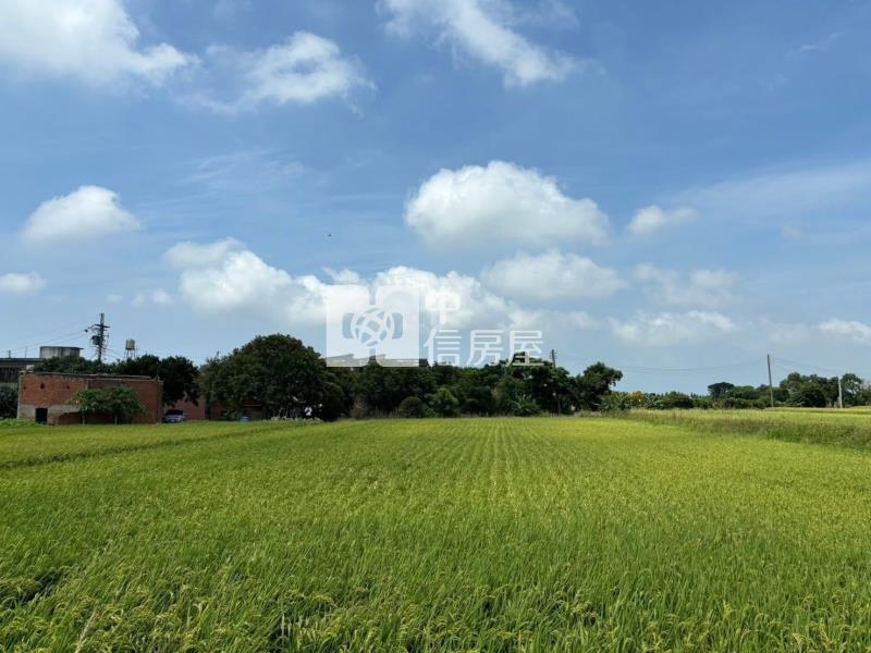 新屋區東明國小旁美農保地房屋室內格局與周邊環境